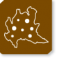 dai_territori-82x85