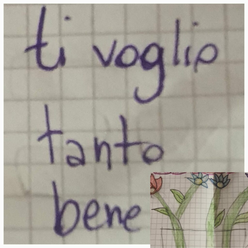 2^ e 3^ elementare IC Dosolo Pomponesco MANTOVA